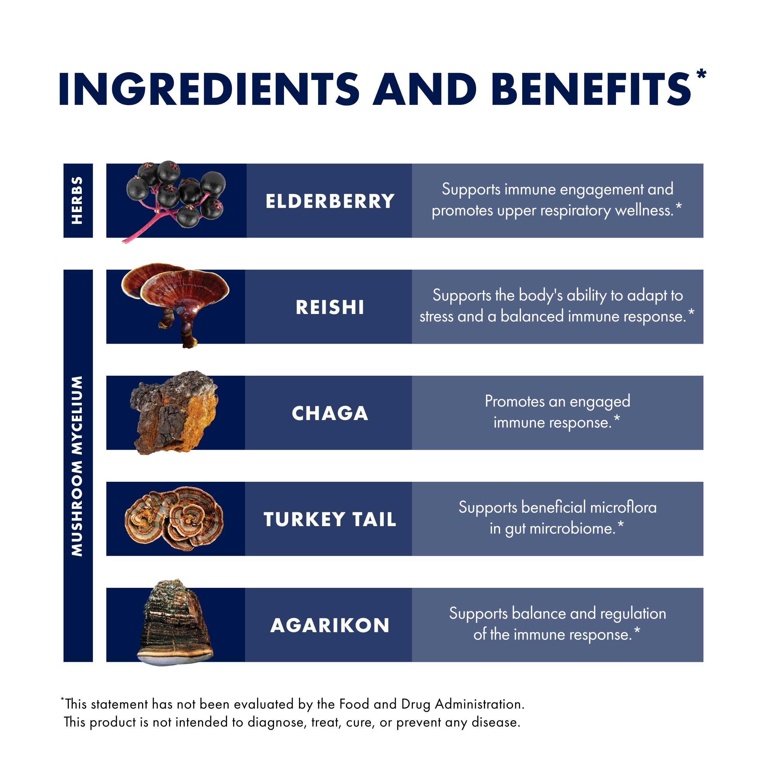 Host Defense Elderberry Mushroom Supplement 191g lifestyle scene