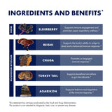 Host Defense Elderberry Mushroom Supplement 191g lifestyle scene