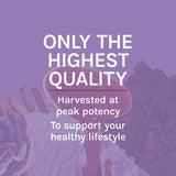 Host Defense Lion's Mane Mushroom Supplement bottle on table
