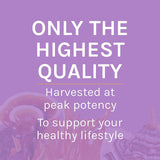 Host Defense Lion's Mane Mushroom Supplement in a natural setting