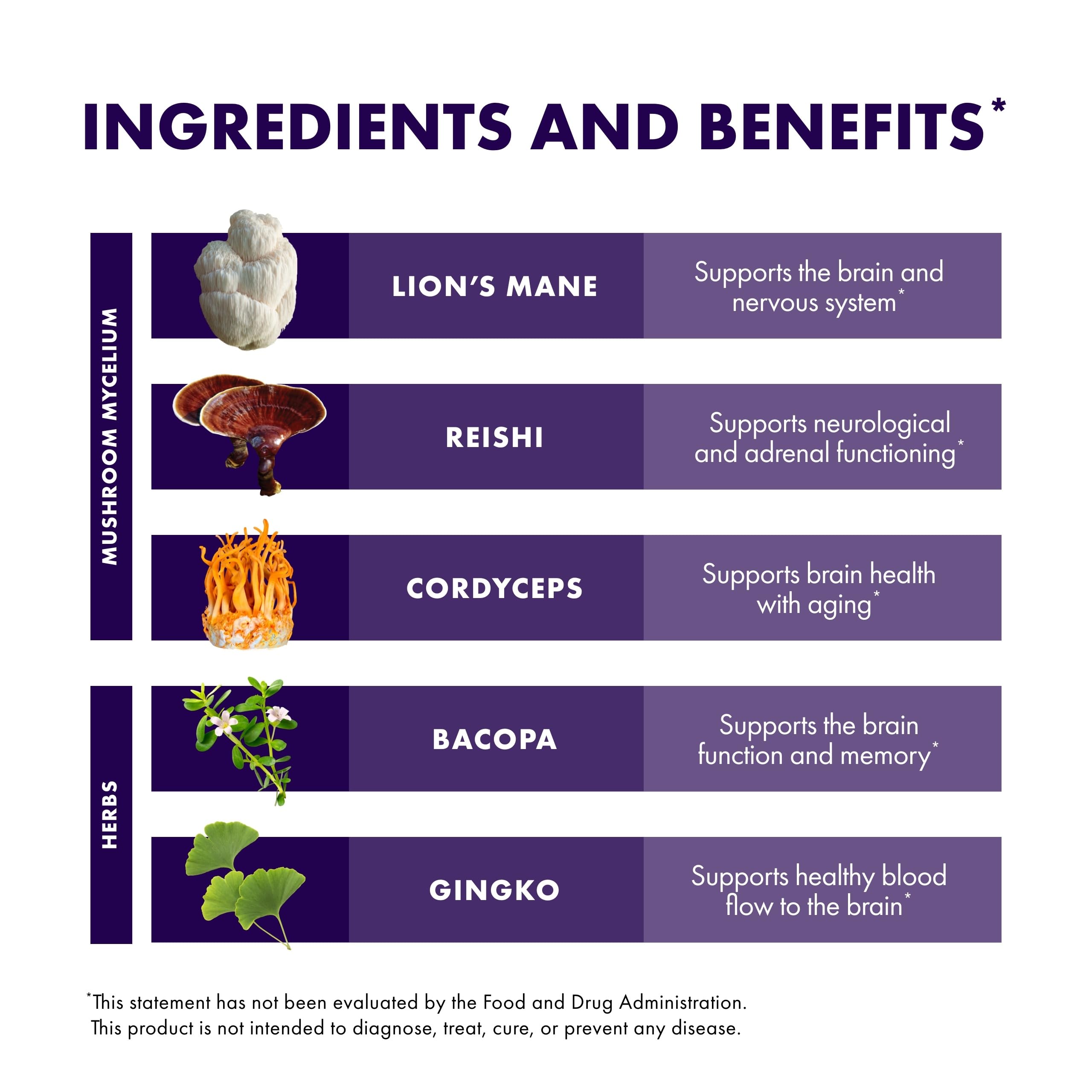 Host Defense Lion's Mane Mushroom Supplement lifestyle scene with a cup of tea