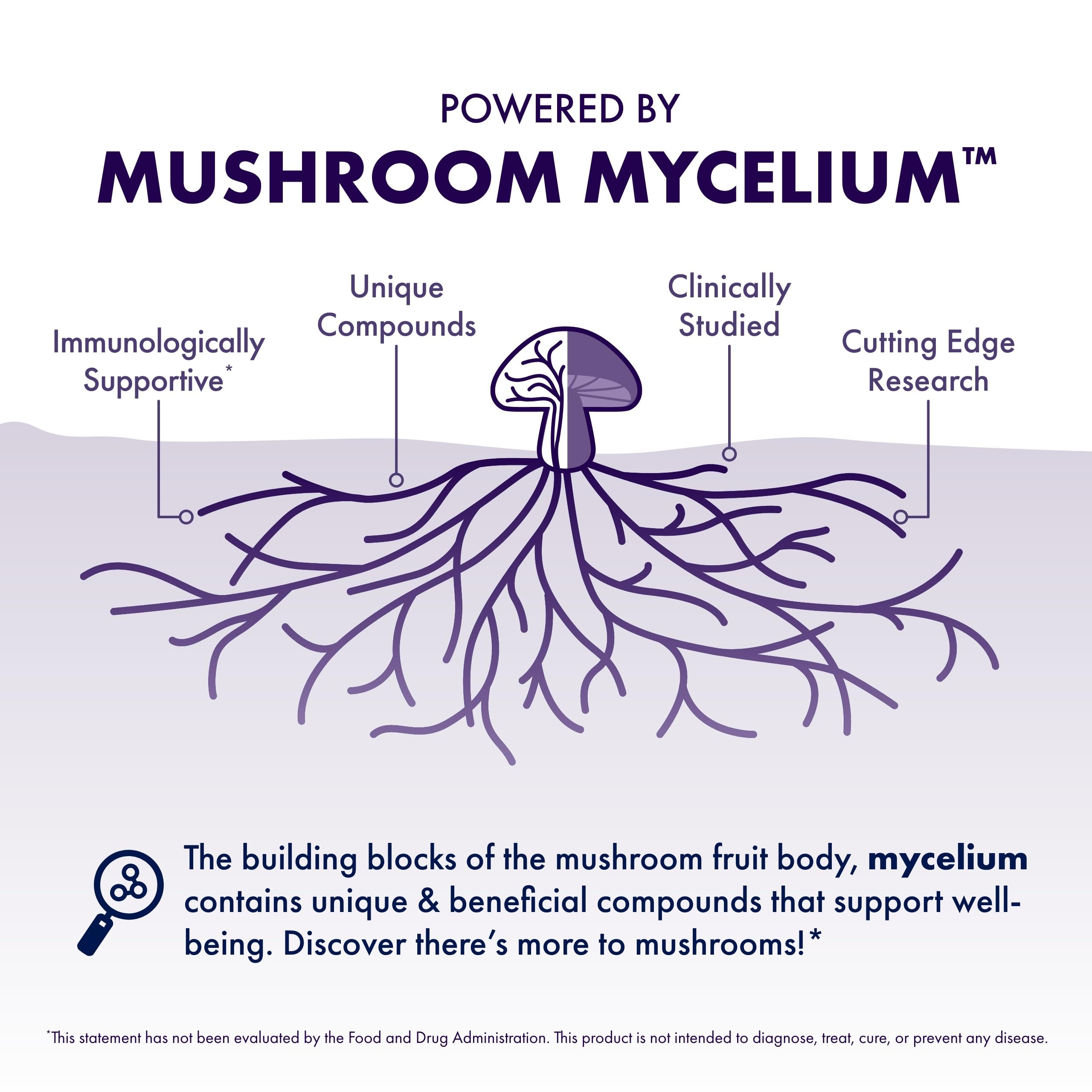Host Defense Lion's Mane Mushroom Supplement with dropper