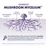 Host Defense Lion's Mane Mushroom Supplement with dropper