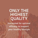 Host Defense Liver Support Mushroom Supplement with measuring spoon