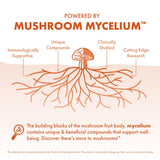 Host Defense Mushroom Capsules in a lifestyle setting