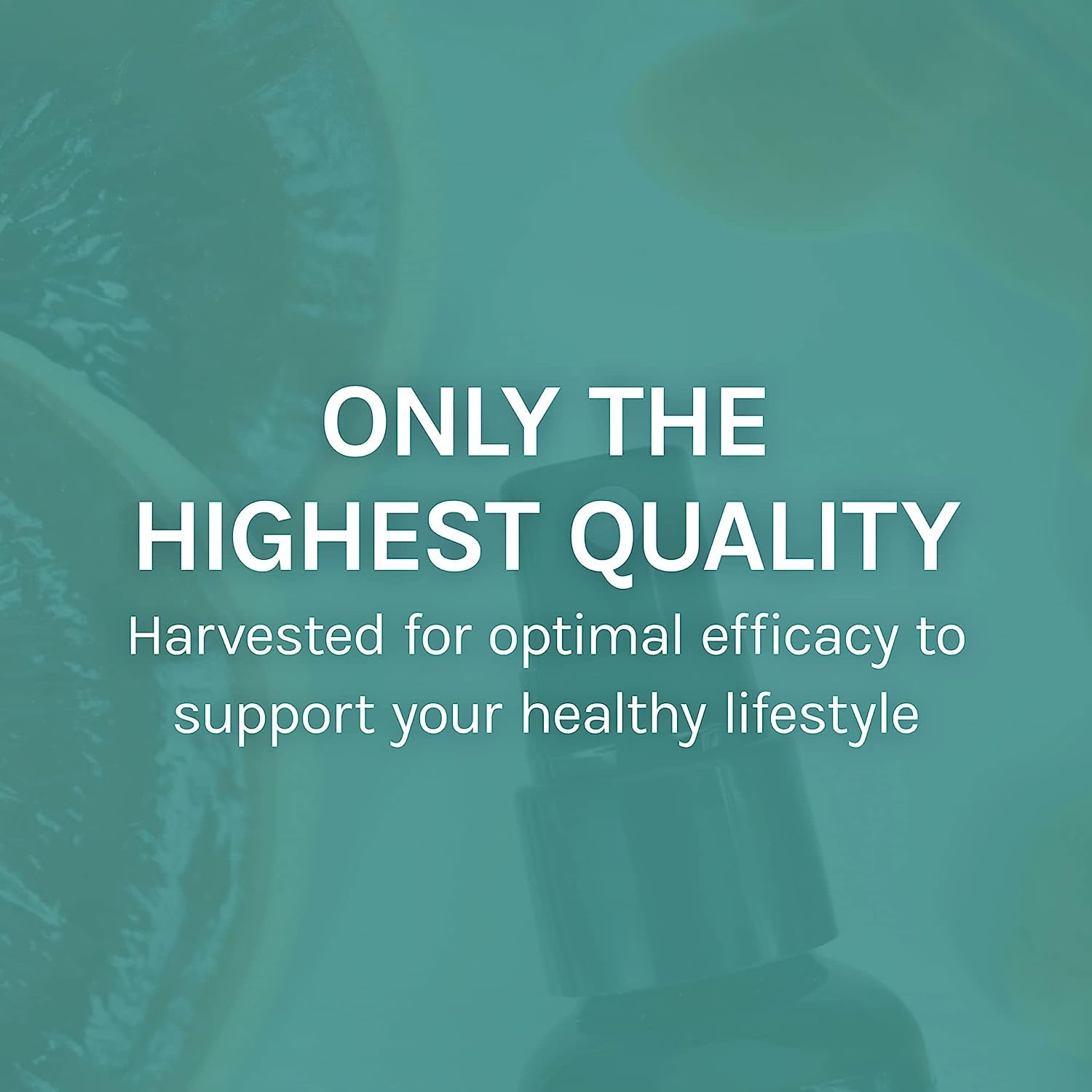 Host Defense Mushroom daily wellness Support Throat Spray in hand