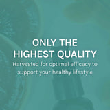 Host Defense Mushroom daily wellness Support Throat Spray in hand