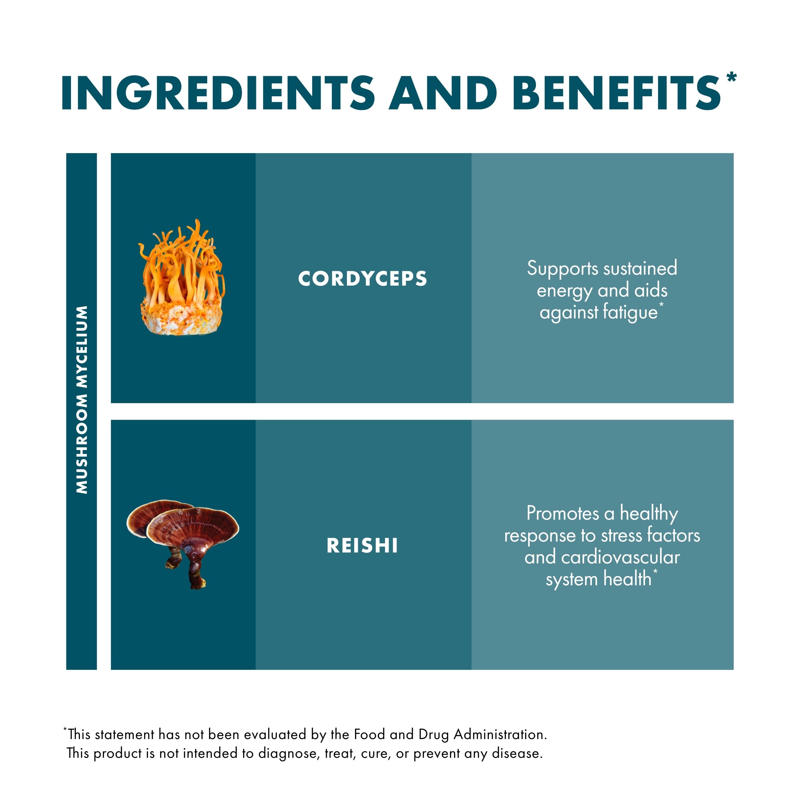 Host Defense Mushroom Extract Supplement dropper in use