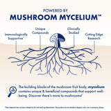 Host Defense Mushroom Gummies on a wooden table