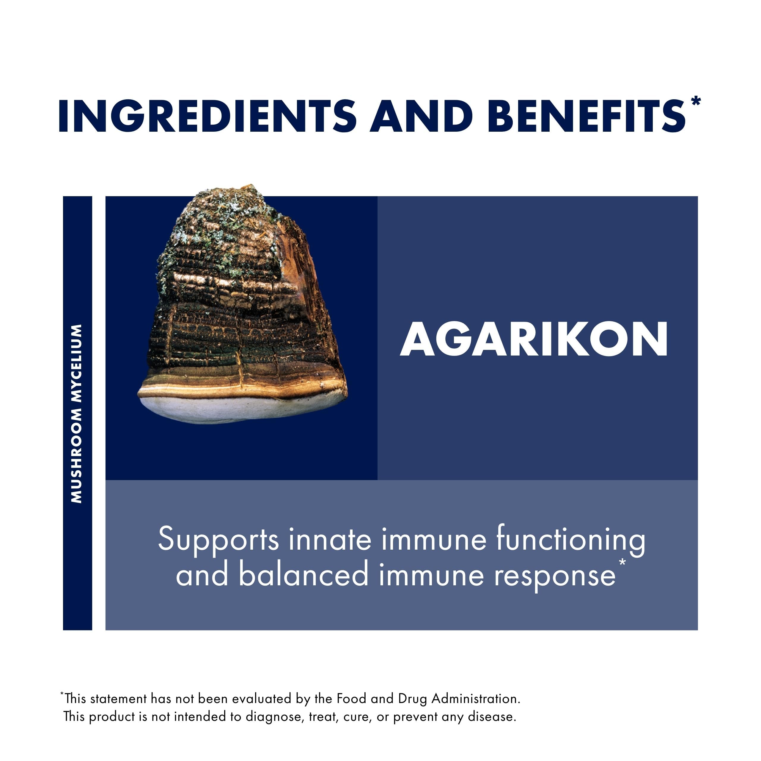 Host Defense Mushroom Supplement 118g bottle with a natural background