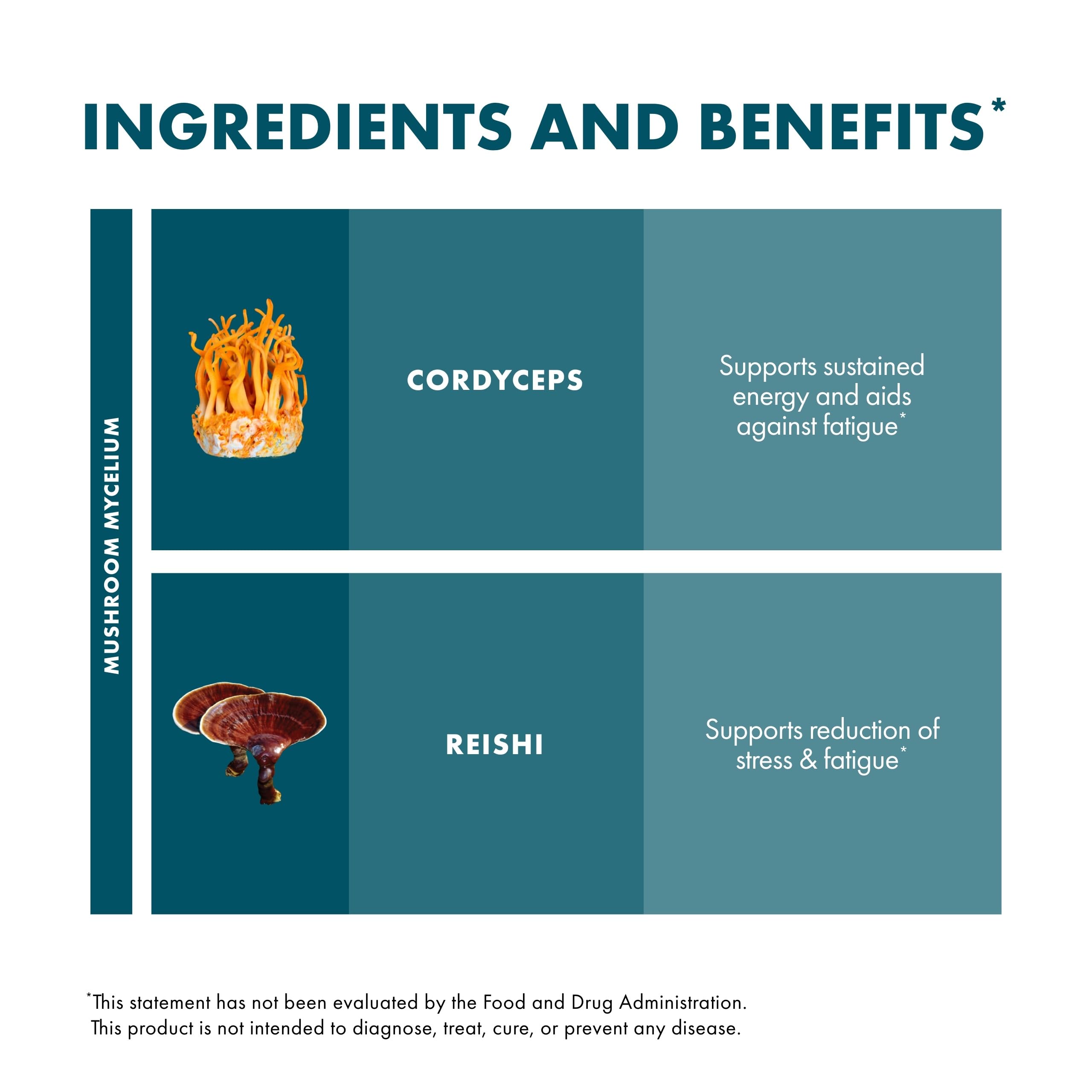 Host Defense Mushroom Supplement 136g serving suggestion