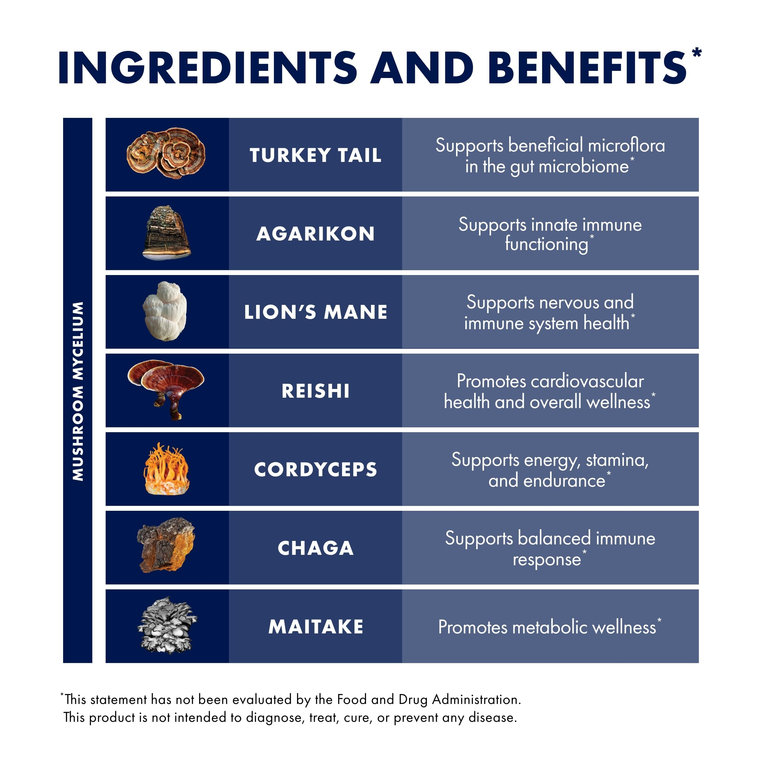 Host Defense Mushroom Supplement 17-Species displayed with natural elements