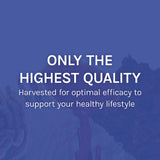 Host Defense Mushroom Supplement 7-Species lifestyle scene