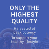Host Defense Mushroom Supplement 7-Species lifestyle scene