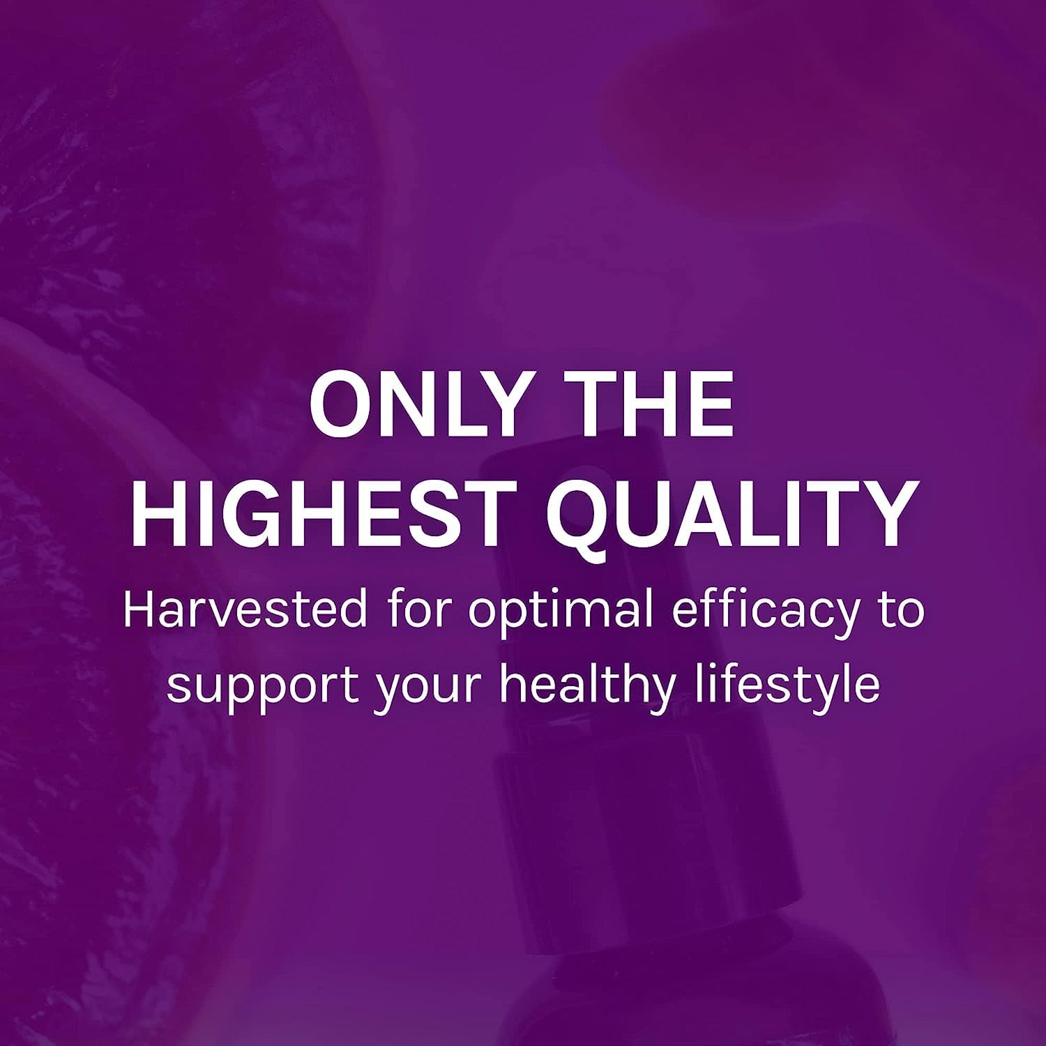 Host Defense Mushroom Supplement Throat Spray lifestyle scene