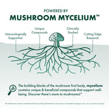 Host Defense Mushroom Supplement with ingredients displayed