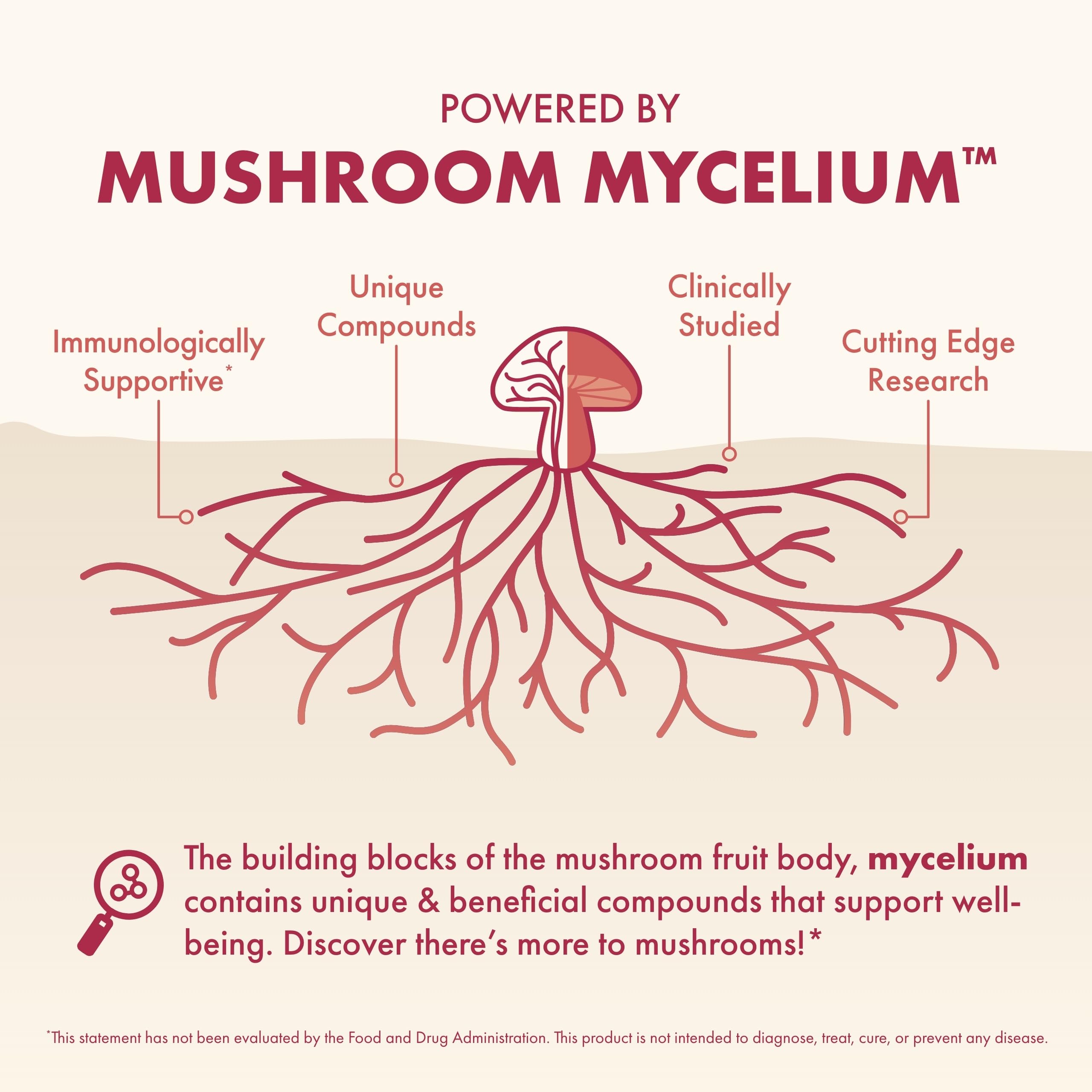 Host Defense MycoBenefits Beauty Mushroom Supplement back view with ingredients