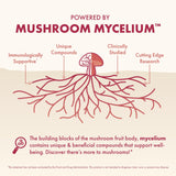 Host Defense MycoBenefits Beauty Mushroom Supplement back view with ingredients