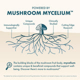 Host Defense MycoBenefits Mood Mushroom Supplement bottle with capsules