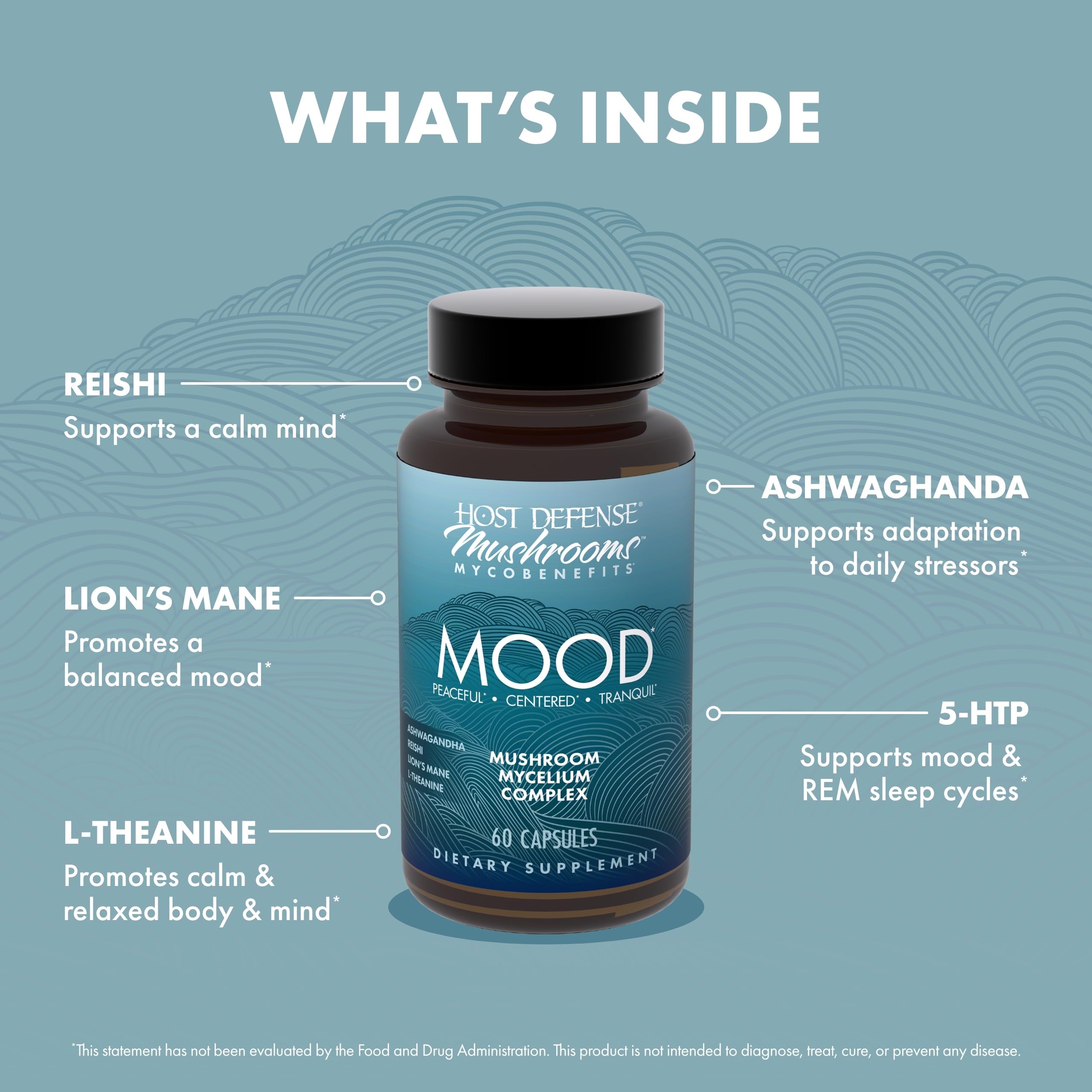 Host Defense MycoBenefits Mood Mushroom Supplement packaging details