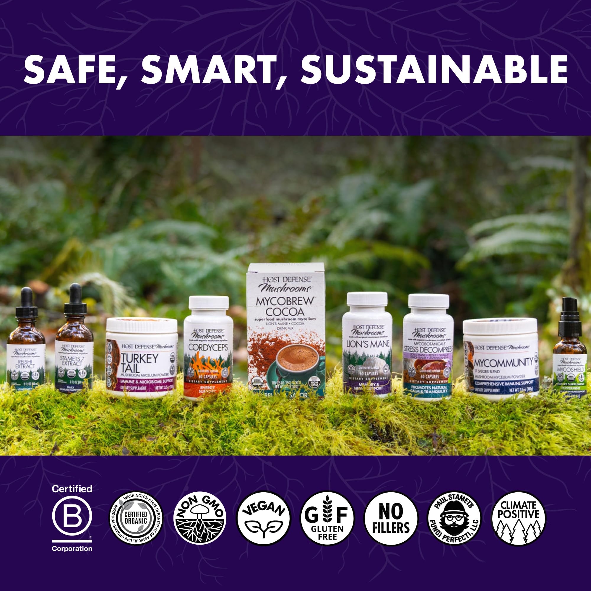 Host Defense MycoBotanicals Brain Support Capsules lifestyle scene