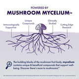 Host Defense MycoBotanicals Brain Support Capsules packaging