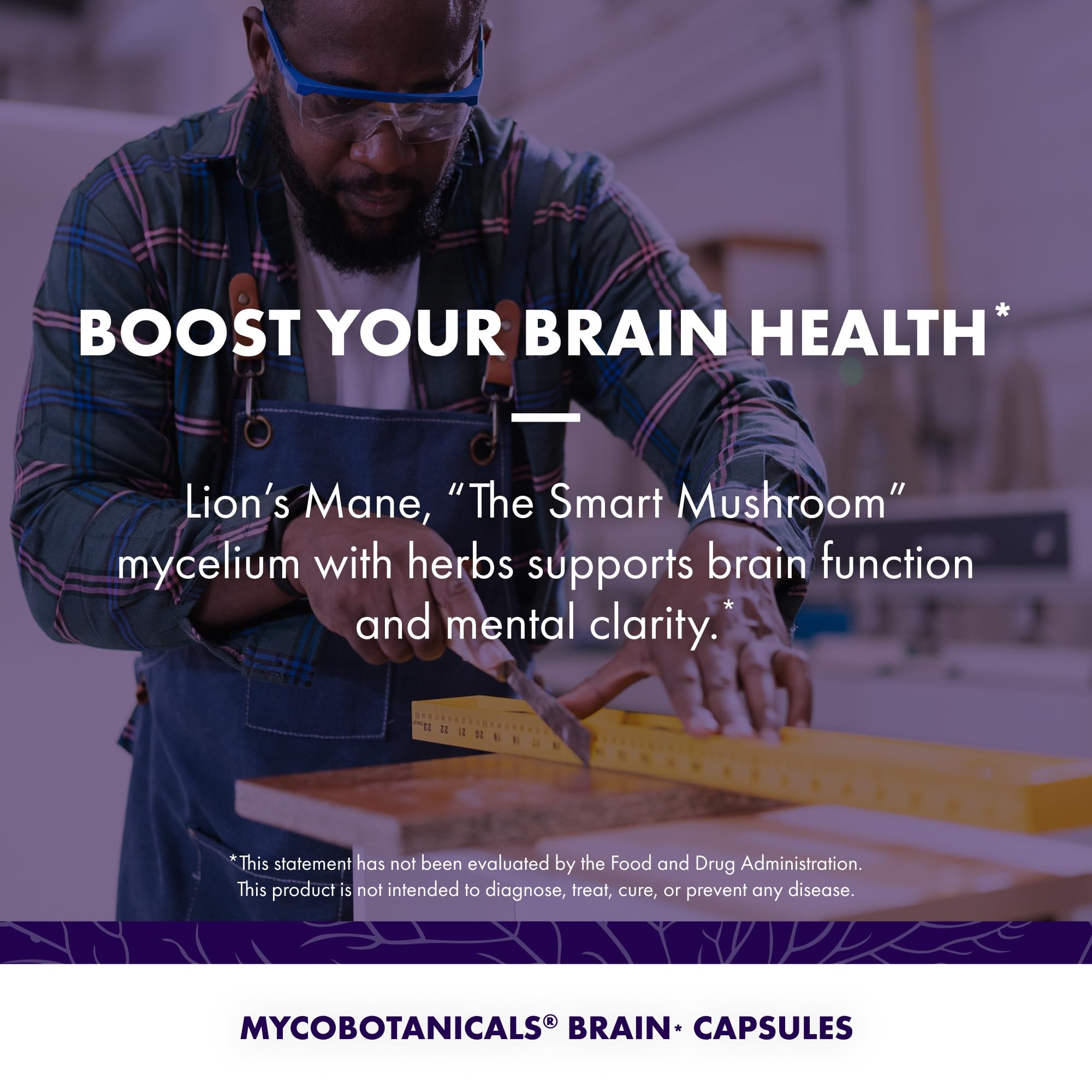 Host Defense MycoBotanicals Brain Support Capsules with mushrooms