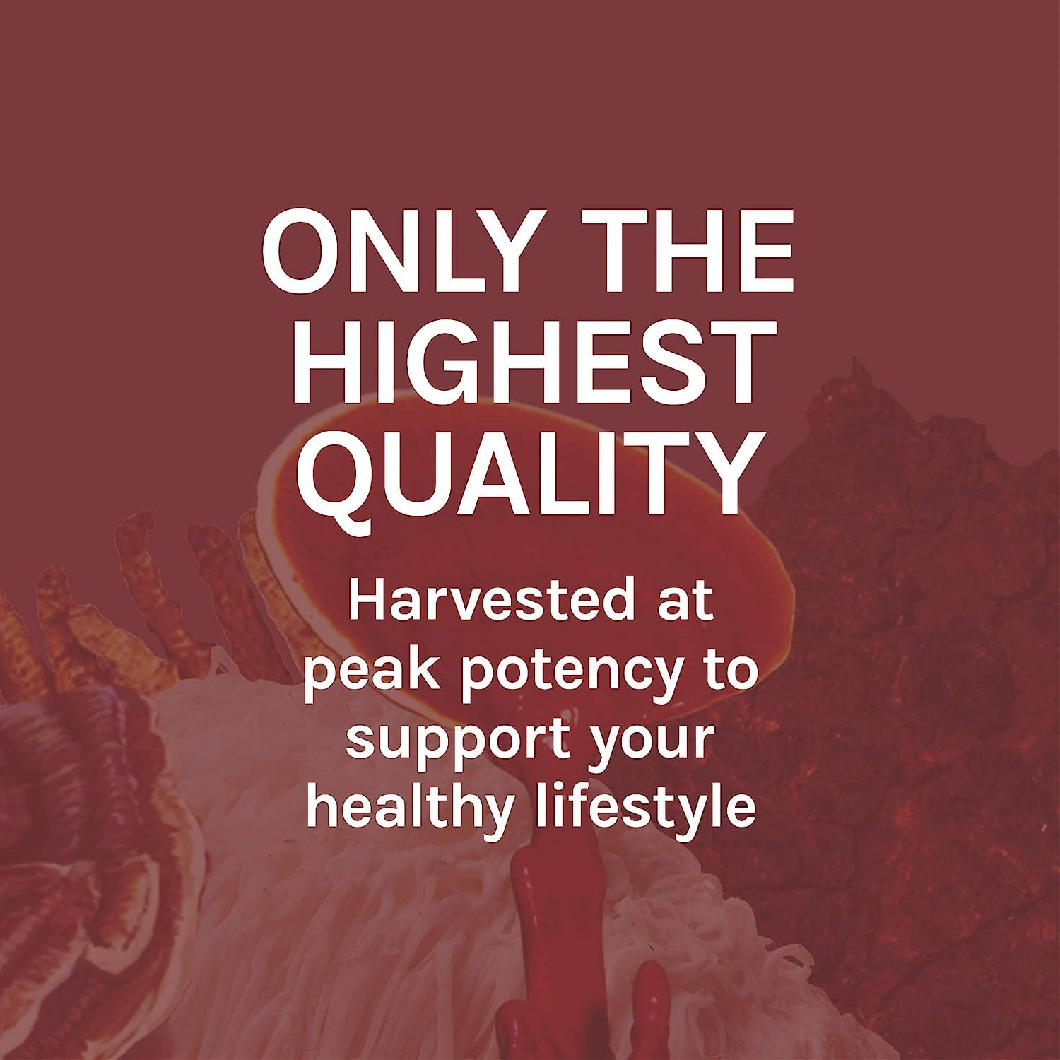 Host Defense Reishi Mushroom Liquid Supplement 136g with measuring dropper