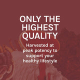 Host Defense Reishi Mushroom Liquid Supplement 136g with measuring dropper