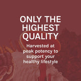 Host Defense Reishi Mushroom Liquid Supplement with measuring dropper