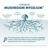 Host Defense Reishi Mushroom Powder 136g close-up of powder