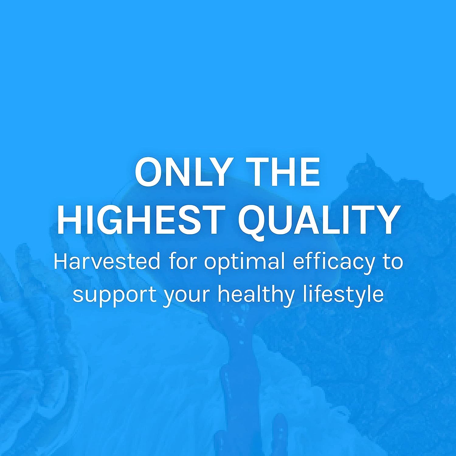 Host Defense supplement with Chaga mushroom extract