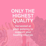Host Defense Turkey Tail Mushroom Supplement back view