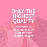 Host Defense Turkey Tail Mushroom Supplement lifestyle scene