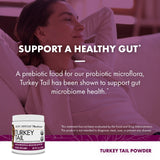 Host Defense Turkey Tail Mushroom Supplement powder close-up