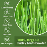 Hudetex Barley Grass Powder 222g back view packaging