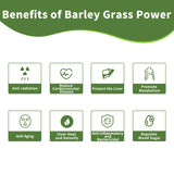 Hudetex Barley Grass Powder 222g nutritional information