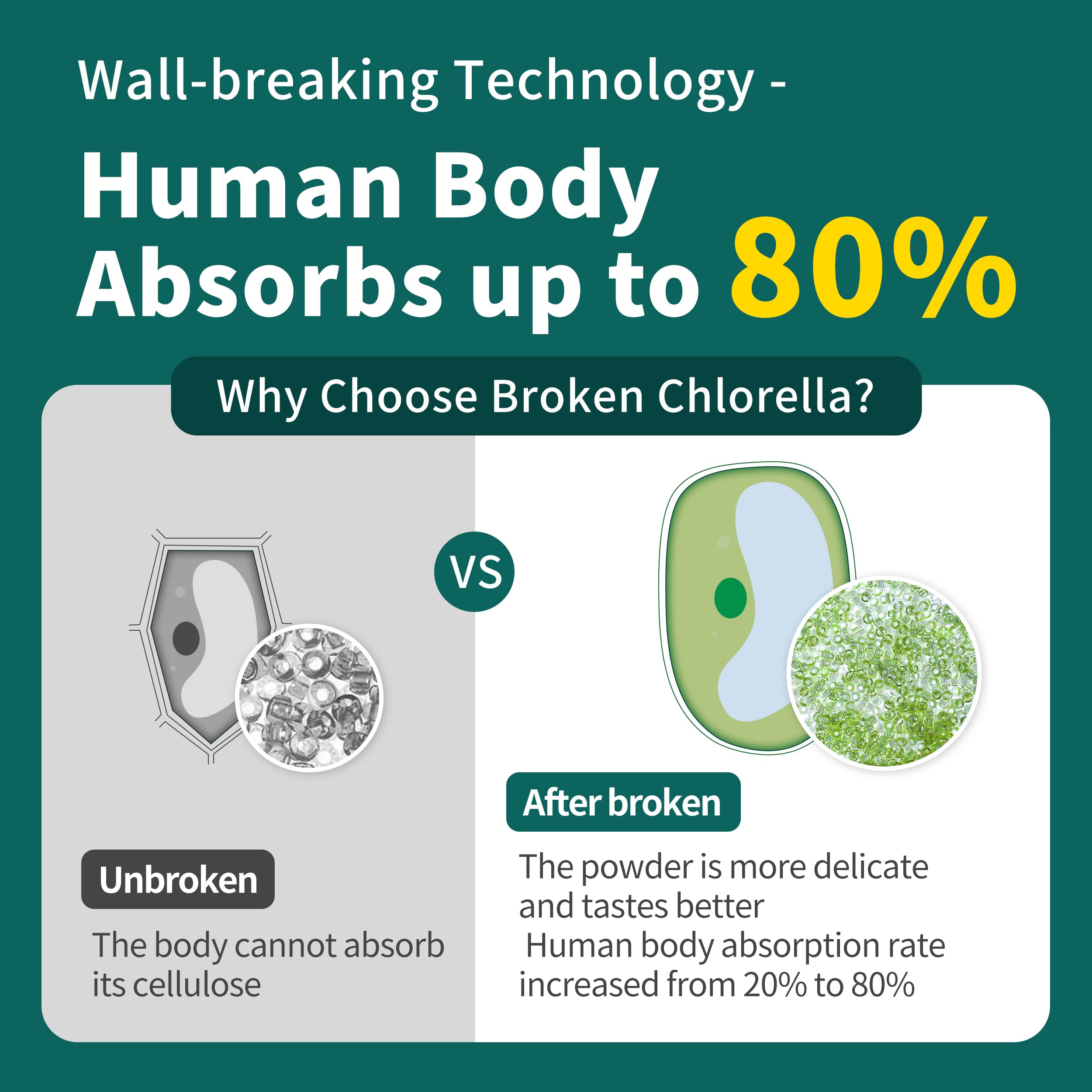 Hudetex Chlorella Powder mixed in a smoothie