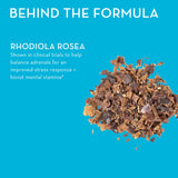 HUM Big Chill Rhodiola Rosea vegan capsules on a wooden surface