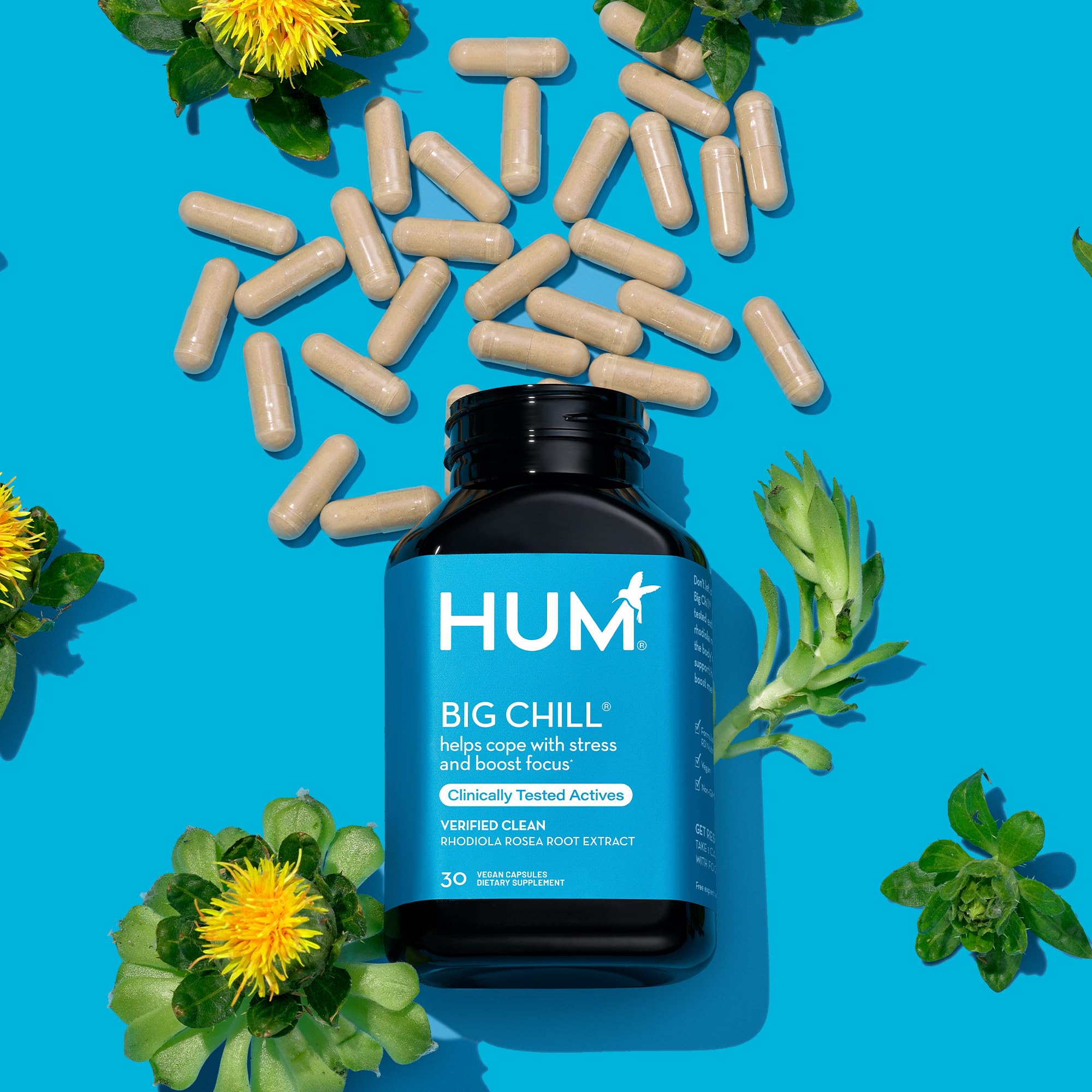 HUM Big Chill Rhodiola Rosea vegan capsules with measuring spoon