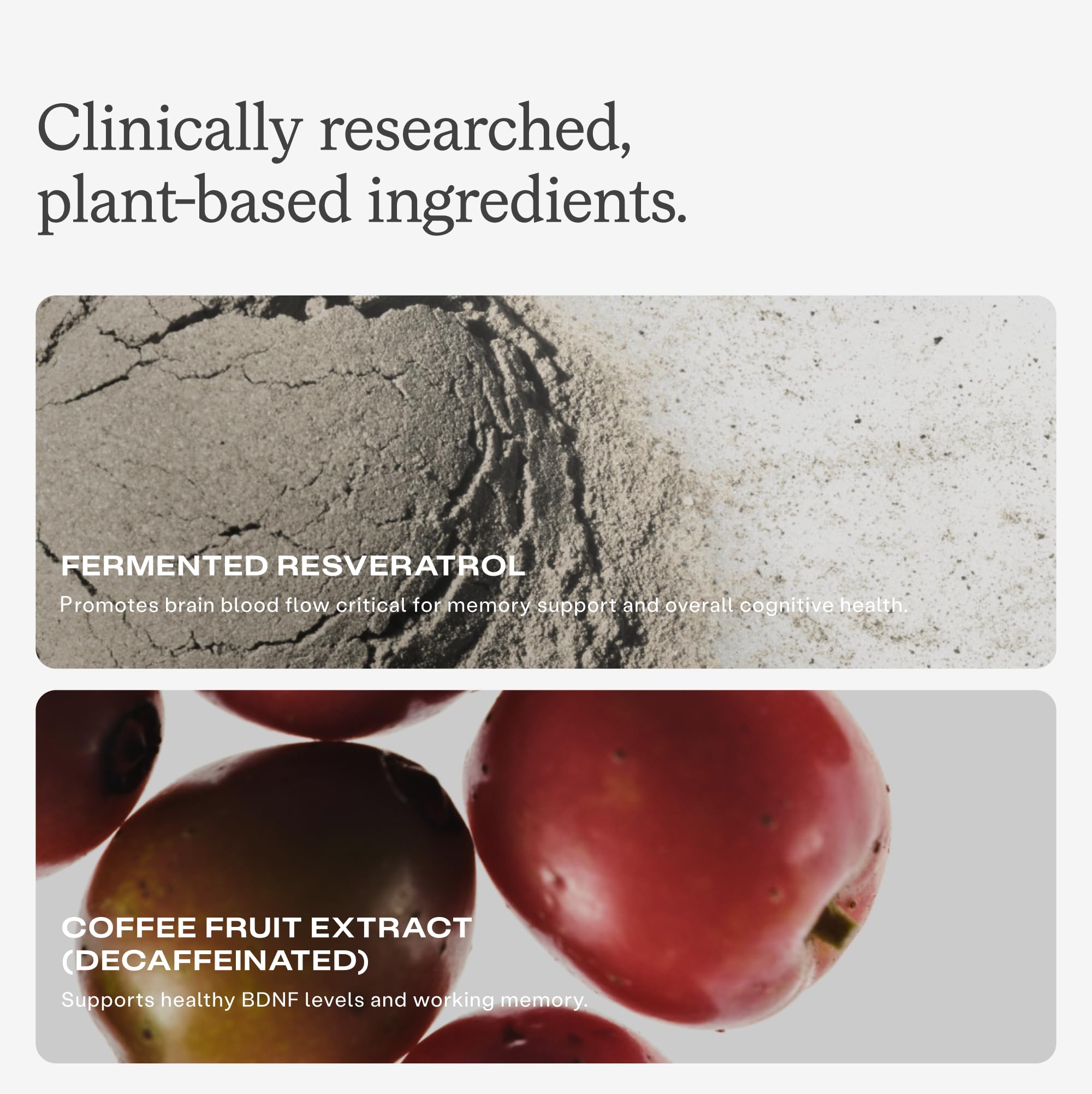 humanN Memory & Focus Chews ingredients list