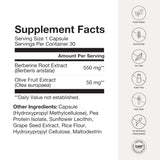 Humann SuperBerine Berberine Capsules lifestyle setting