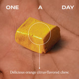 HumanN Turmeric Chews in a hand for size comparison