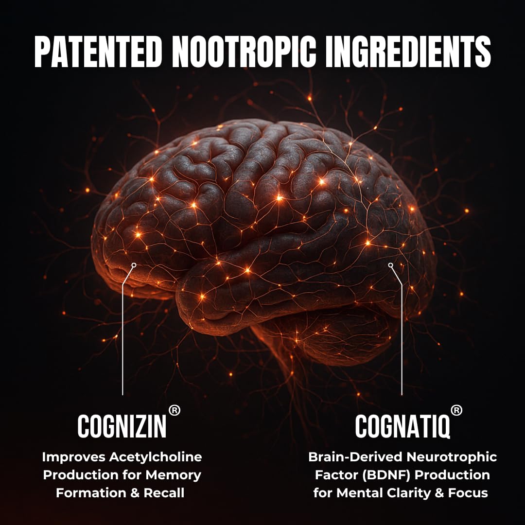 HUMBLEROOTS PERFORMANCE Brain Supplement in a lifestyle setting
