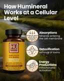 HUmineral Trace Minerals Supplement packaging details