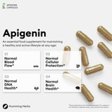 Humming Herbs Apigenin 504mg supplement with a measuring spoon for dosage