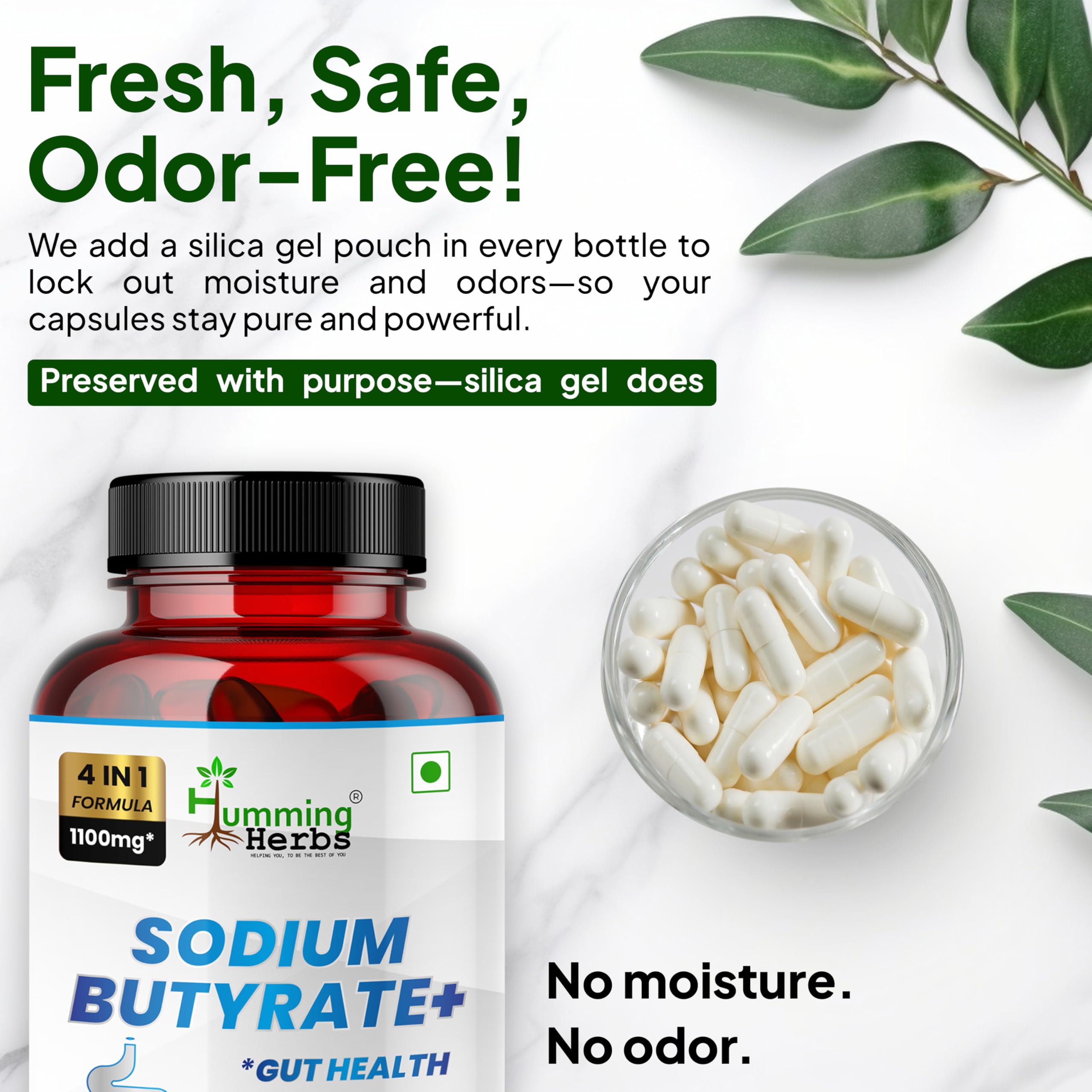 Humming Herbs Sodium Butyrate+ 4-in-1 Formula lifestyle scene