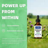 HUXINSK Burdock Root Liquid Extract 60ml with herbal background