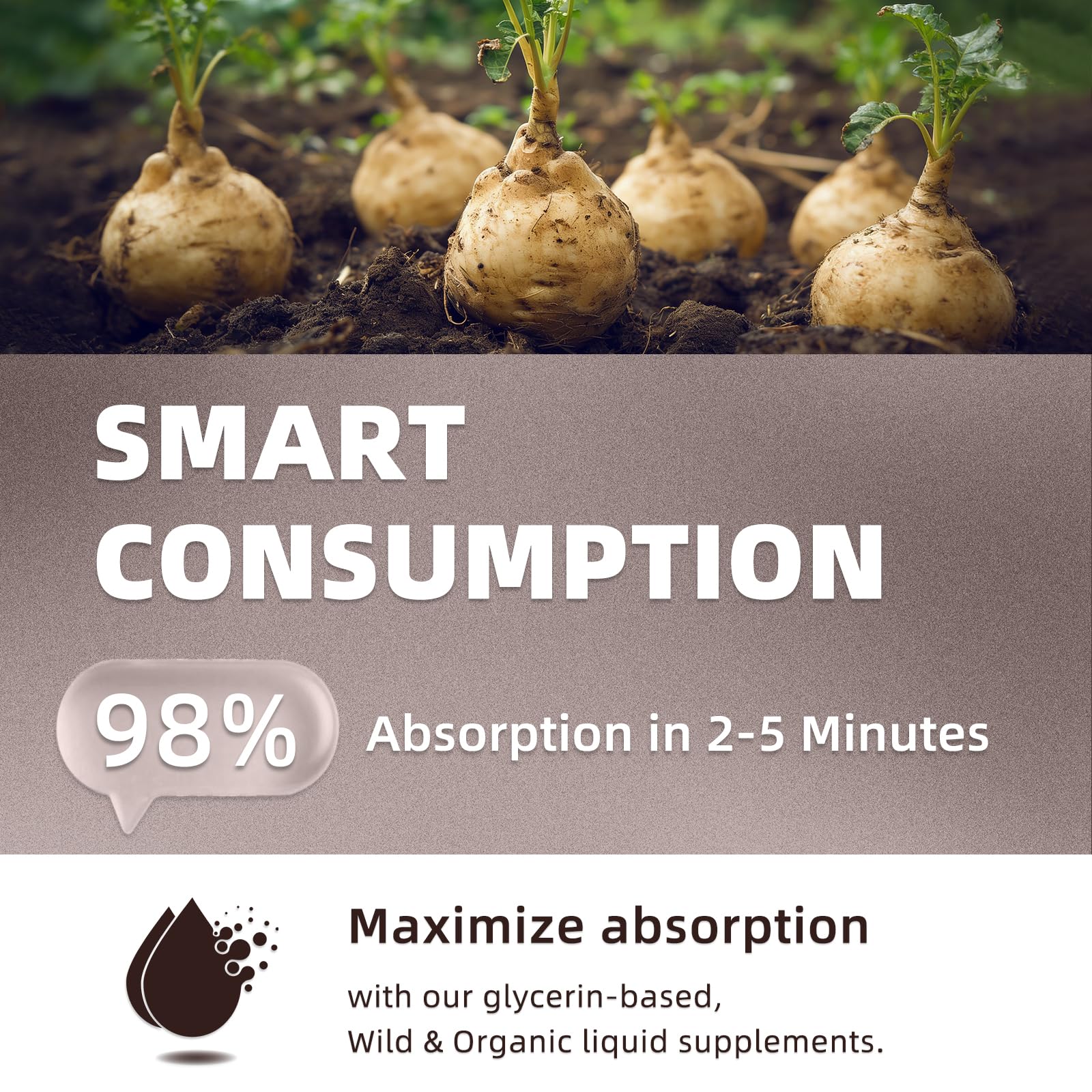 HUXINSK Maca Root Liquid Drops ingredients list