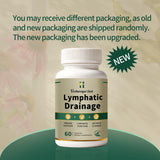 HVibeVigor Zest Echinacea supplement lifestyle scene